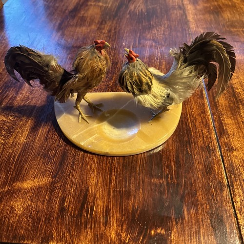 RE・BIRTH Ⅱ THE ROOSTERS 91frOGwEUkL._UF894,1000_QL80_.jpg