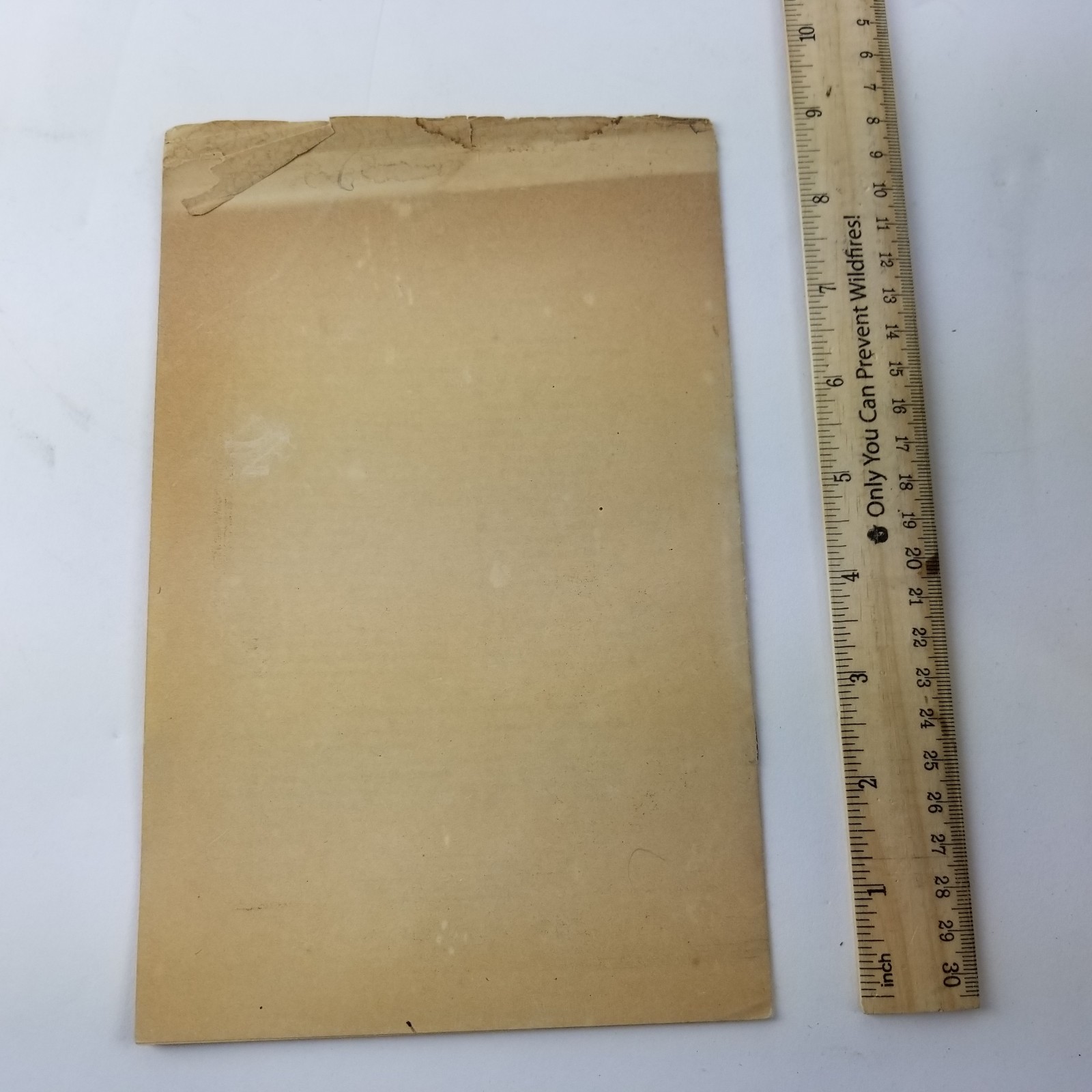 US Department of Agriculture Farmers Bulletin 1298 Cost of Using Horses On Corn