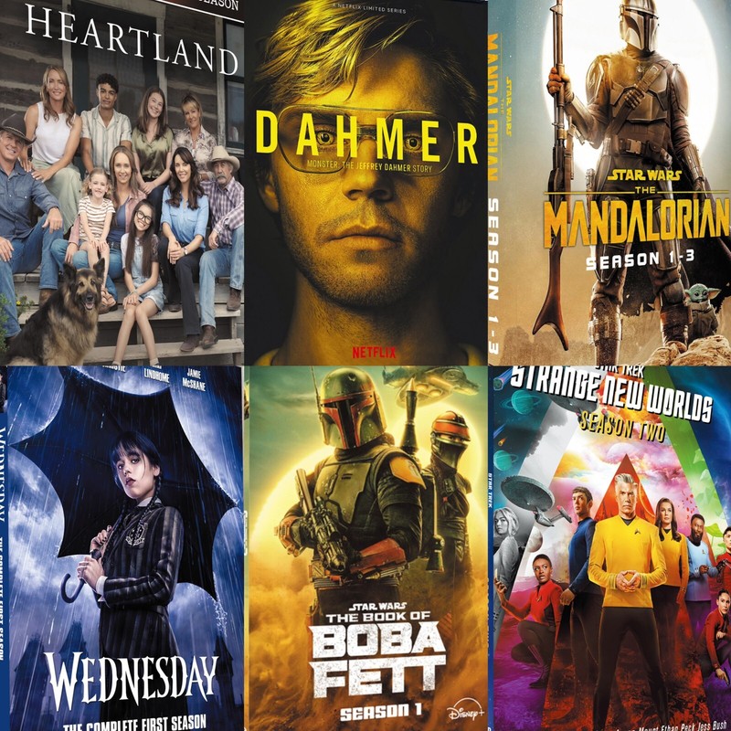 Multiple Choice TV-Series New DVD Complete  Season Box Set