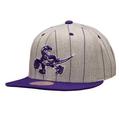 Mitchell & Ness Heather Grey/Purple NBA Toronto Raptors Pin Pop HWC Snapback -