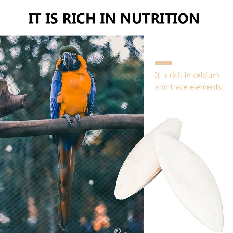 10pcs Cuttlebone for Birds Parrot Chewing Cuttle Bone for Sharp Beaks