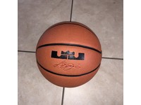 nike 29.5 basketball