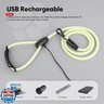 Colaseeme Light Up Dog Leash, 5FT LED Pet Leashes Micro USB Rechargeable, Nylon Glow Safety Dogs Lights at Night (Multi-Color)