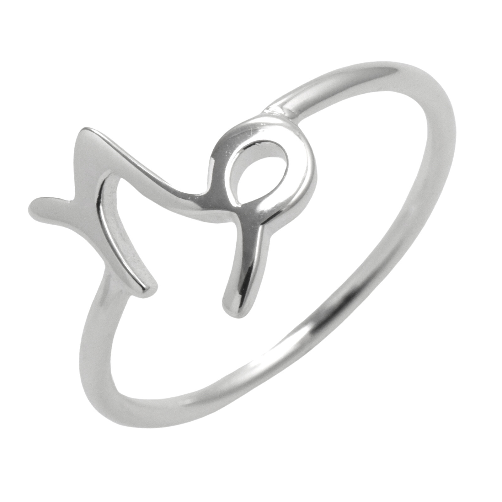 Horoscope Zodiac Ring Birthday Astrology Sign 925 Sterling Silver Sizes 5-10 - Picture 8 of 12