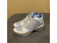 air jordan 29 pantone