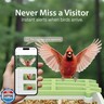 UYIDDIN Bird Feeder with Camera Solar Powered, AI Identify Birds Species 10000+, 2.5K HD Video App Live View, Smart Bird Feeder for Outdoors Backyard, Gifts for Birdlovers Mom Dad