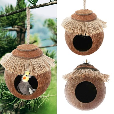 Cockatiel Nest Birds Nest Cute Appearance Parrots Parakeet Conures fashionable