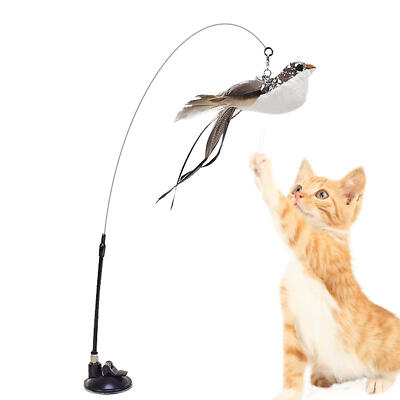 Cat Feather Wand Strong Suction Cup Simulation Bird Interactive Toy Cat Teaser