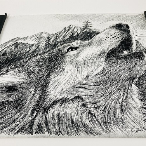 RP Meurer Hauling Wolf Drawing R.P. Meurer 1995 16x20 No