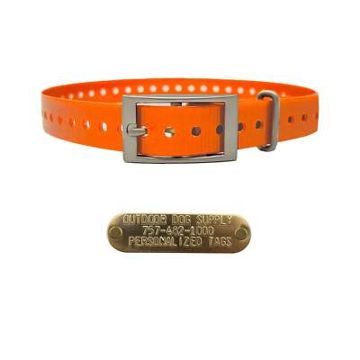 1'' Basic Dog Collar with Brass Name Plate