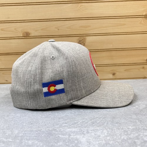 DENVER BEER CO. Hat Ball Cap Adjustable SNAPBACK Gray Mid Profile Colorado