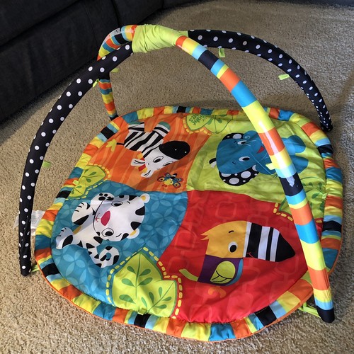 zippy zoo activity gym