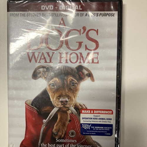A Dog's Way Home (DVD, 2019) 43396541429| eBay