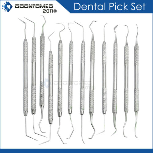 12 Pcs Dental Pick Tools Tooth Probe Stainless Steel Instruments 