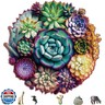 Delobil Mandala Succulent Wooden Puzzles, 500 Pieces Jigsaw Puzzles 16.9'' x16.3'', Unique Design Wooden Puzzles for Adults and Kids, Family Game Gift