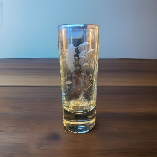 Rare hard to find Princess House Shot Glasses Crystal