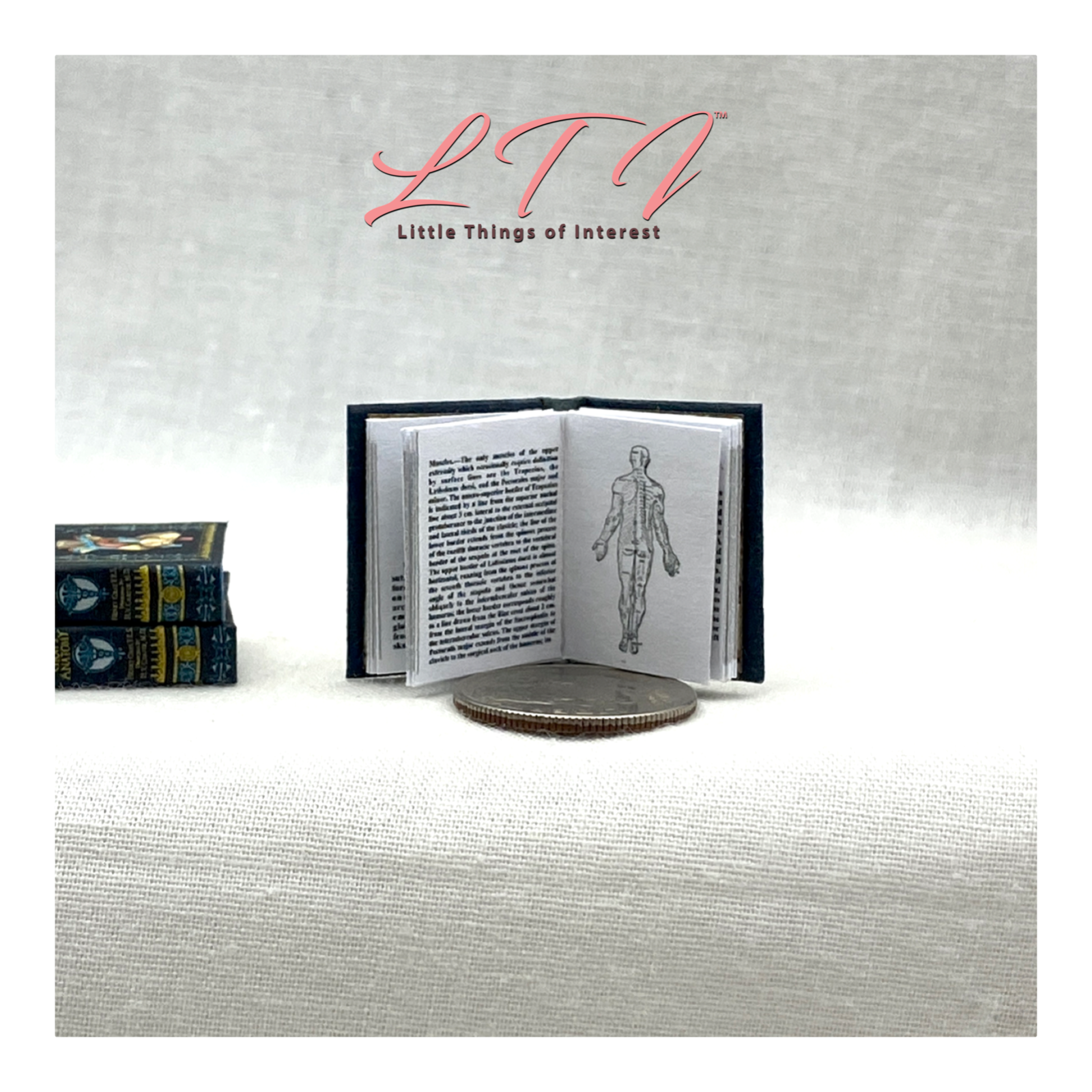 GRAY'S ANATOMY MEDICAL 1:12 Scale Miniature Readable Illustrated Book Doctor