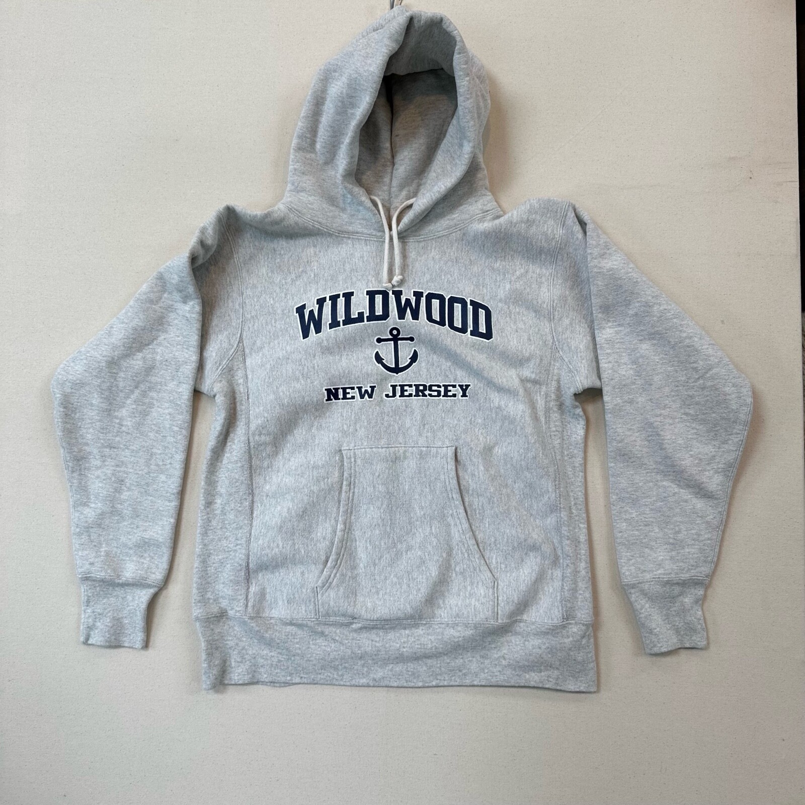 Champion Reverse Weave Warmup Mens Size L Gray Hoodie