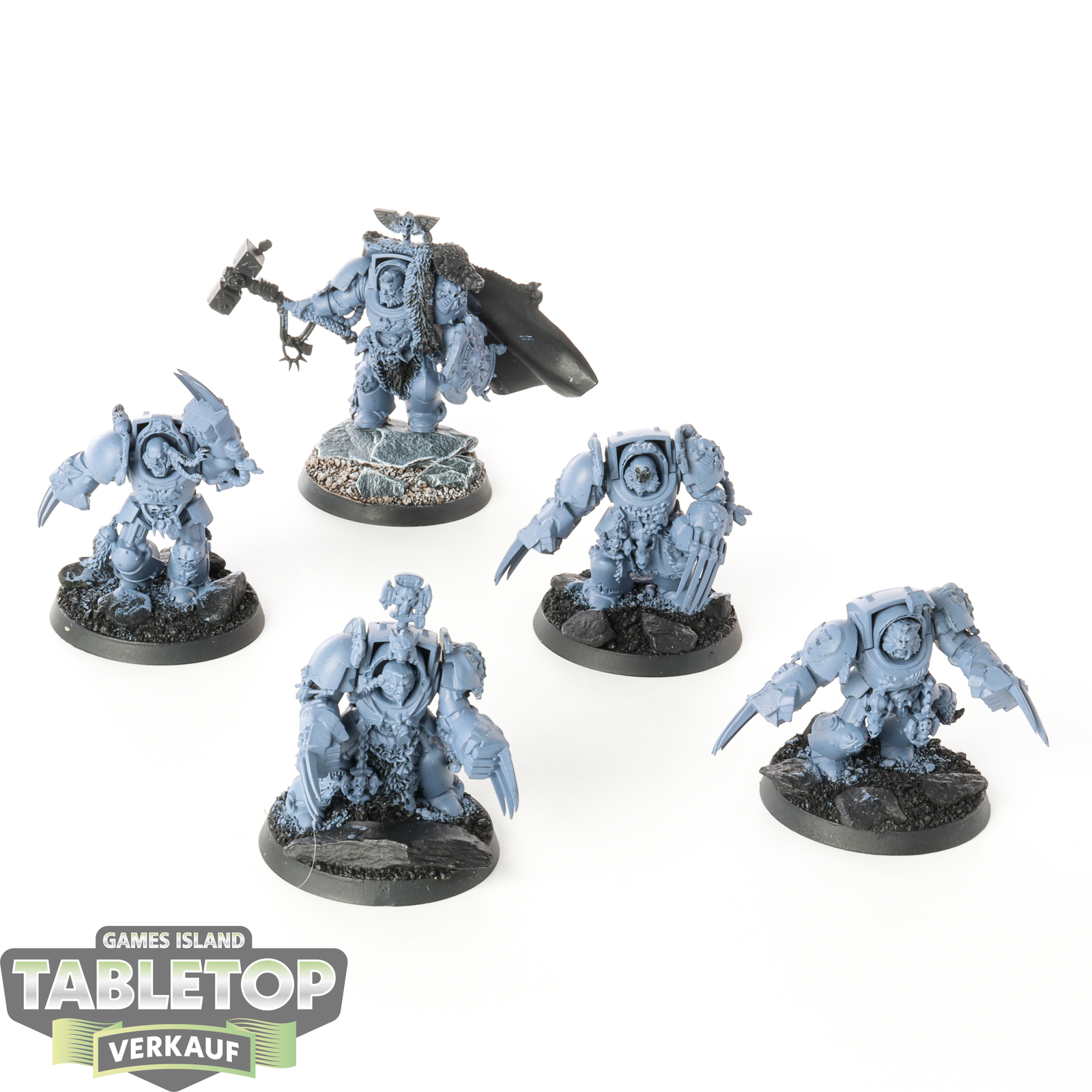 Space Wolves - 5 x Wolf Guard Terminators - teilweise bemalt