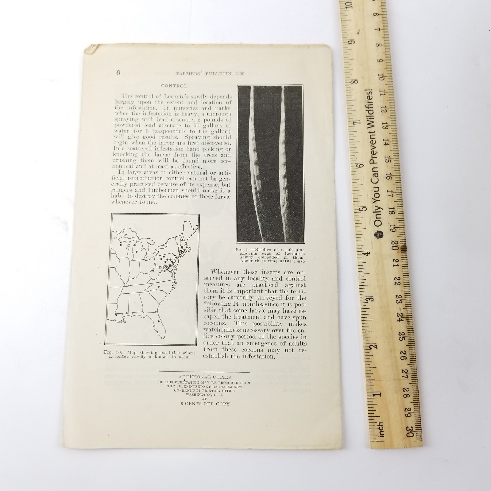 US Department of Agriculture Farmers Bulletin 1259 A Sawfly Injurious to Pines