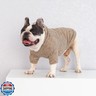 Fitwarm Knitted Dog Hoodie Sweater, Winter Clothes for Small Dogs Boy Girl, Lightweight Pet Hooded Sweater, Heather Khaki, Small