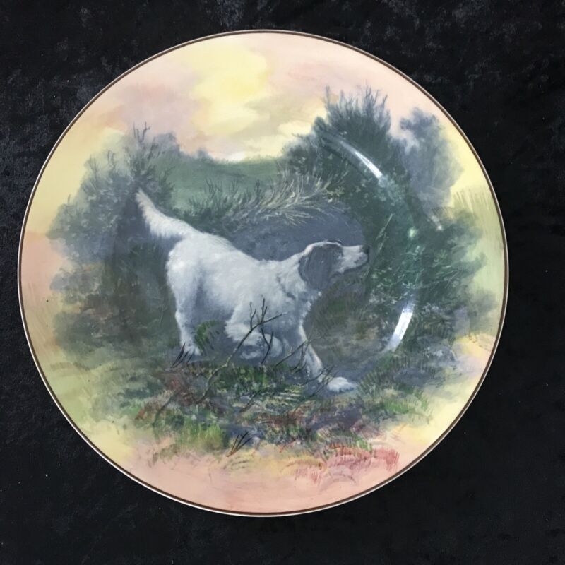 Royal Doulton Seriesware English Setter Dog Plate- D6313-26.5 cm-Collectable