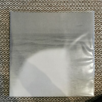 Raum - Daughter / 2xLP Vinyl (Grouper, Jefre Cantu-Ledesma)
