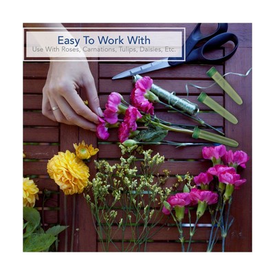 Floral Water Tubes/Vials For Flower Arrangements by Royal Imports, Clear - 3