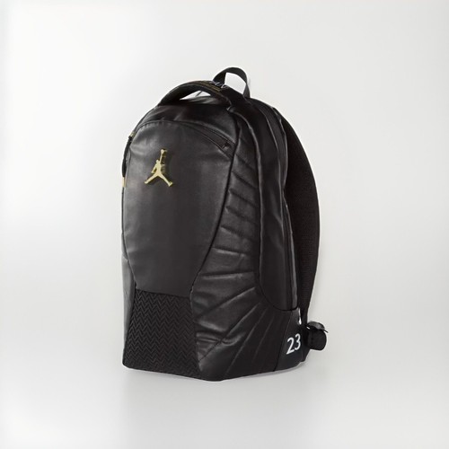 jordan retro 12 bag