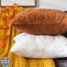 COSIBONO Pumpkin Fall Decorative Throw Pillow Covers 20