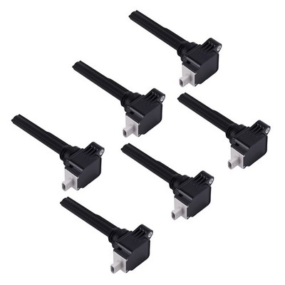 6Pcs Ignition Coils Set for Ford F-150 GT Navigator 3.5L V6 2017-2020 DG560