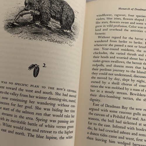 Kodiak Island Alaska Life and Death of a Kodiak Bear Monarch of Deadman Bay