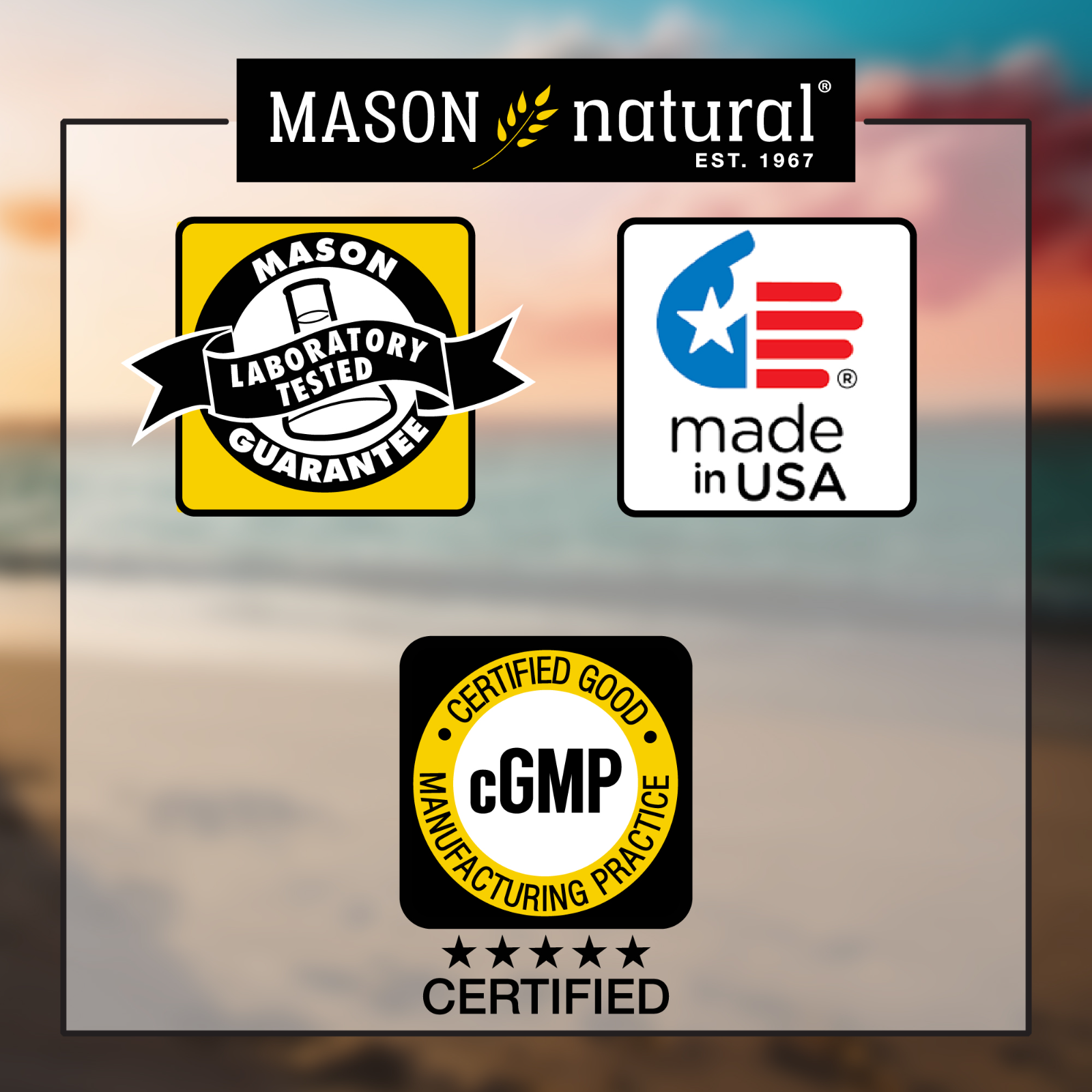 Mason Natural Brain Power w/ Sage Extract. Mental Focus & Positive Mood, 60 Caps