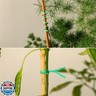 Tangyinrd 300 pcs 5 inch Green Plastic Twist Ties, Cable Ties, for Bags, Gardening Tools