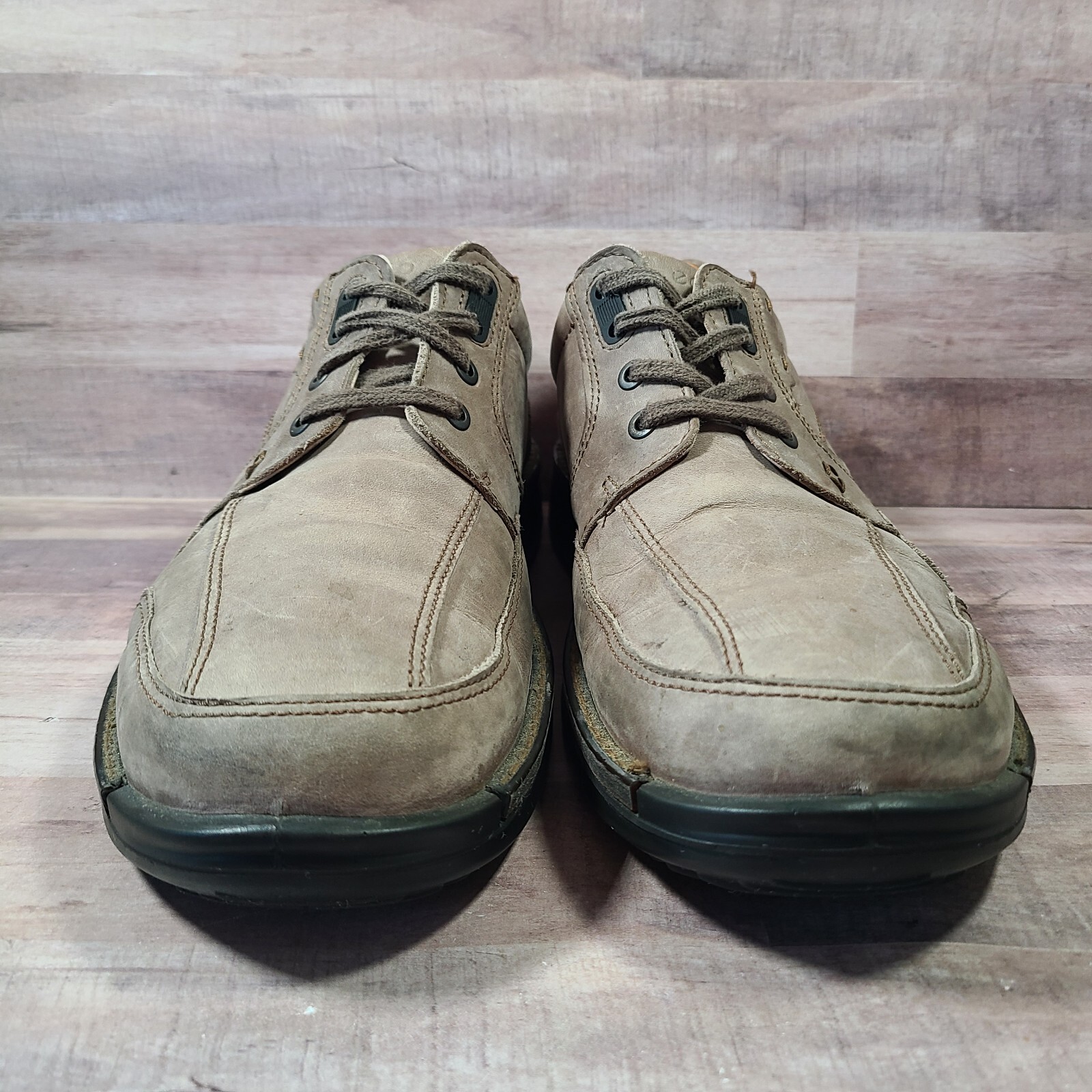 ecco shock point