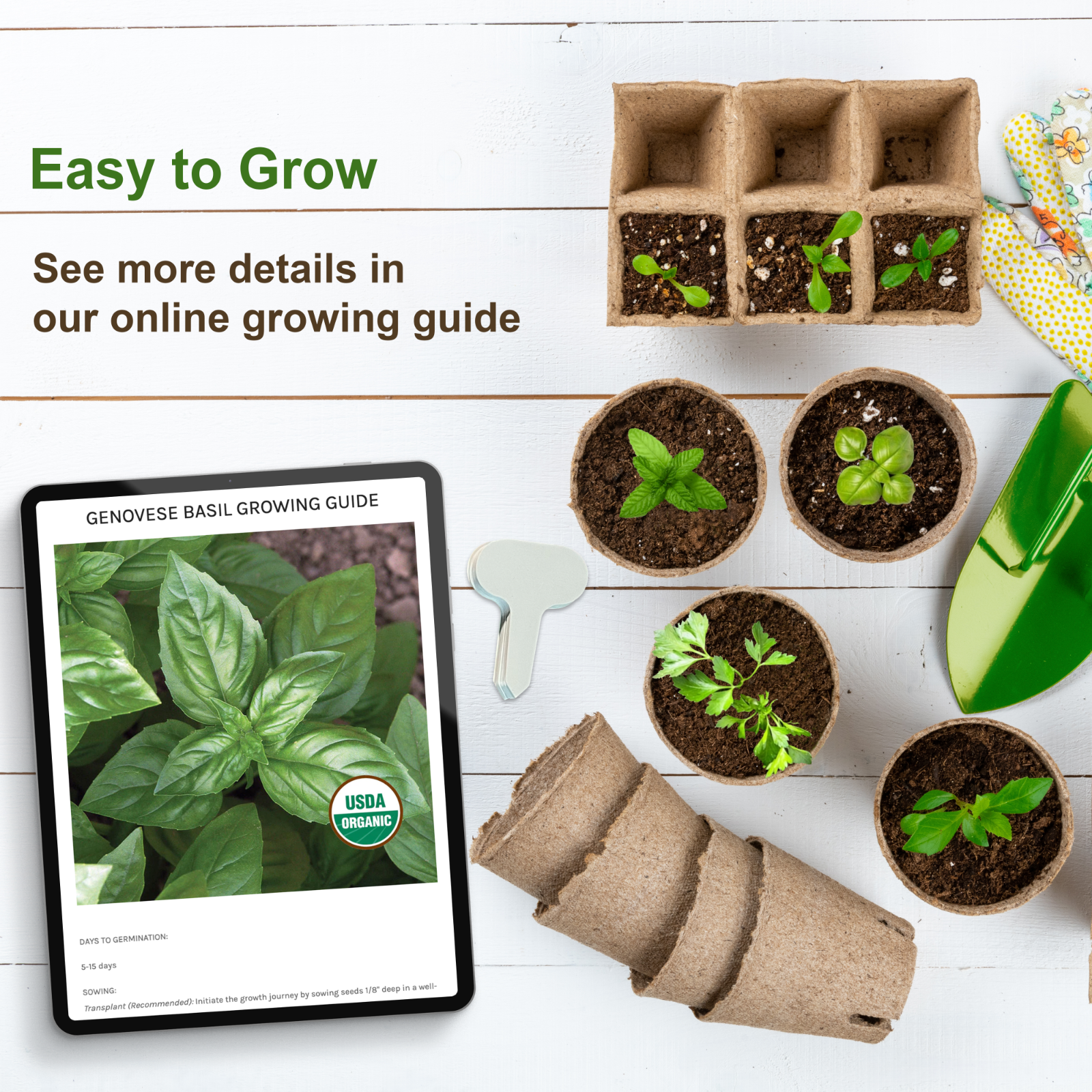 Herb Seeds Variety Pack | 15 Essential Culinary Varieties | 5600+ Heirloom Seeds