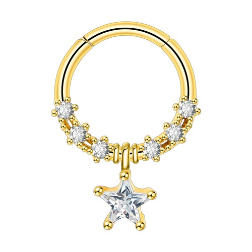 Surgical Steel Hinged Nose Rings Hoop 16G Septum Clicker Ring Earrings Gold- ONE