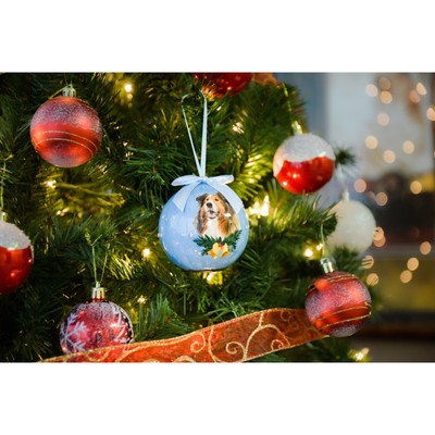 2 x Dog Breeds Twinkling Lights Christmas Ball Ornament, Blue Collie
