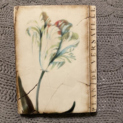 sid dickens T145-Versailles Tulip-EUC