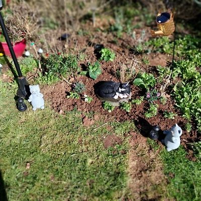 Artikelfoto(s) von einem verifizierten Käufer