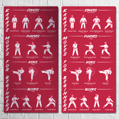 Metal Wall Sign - Karate Moves For Beginners - Gift Children Kid Boy Girl Learn