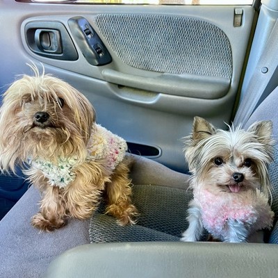 Objectfoto('s) van geverifieerde koper