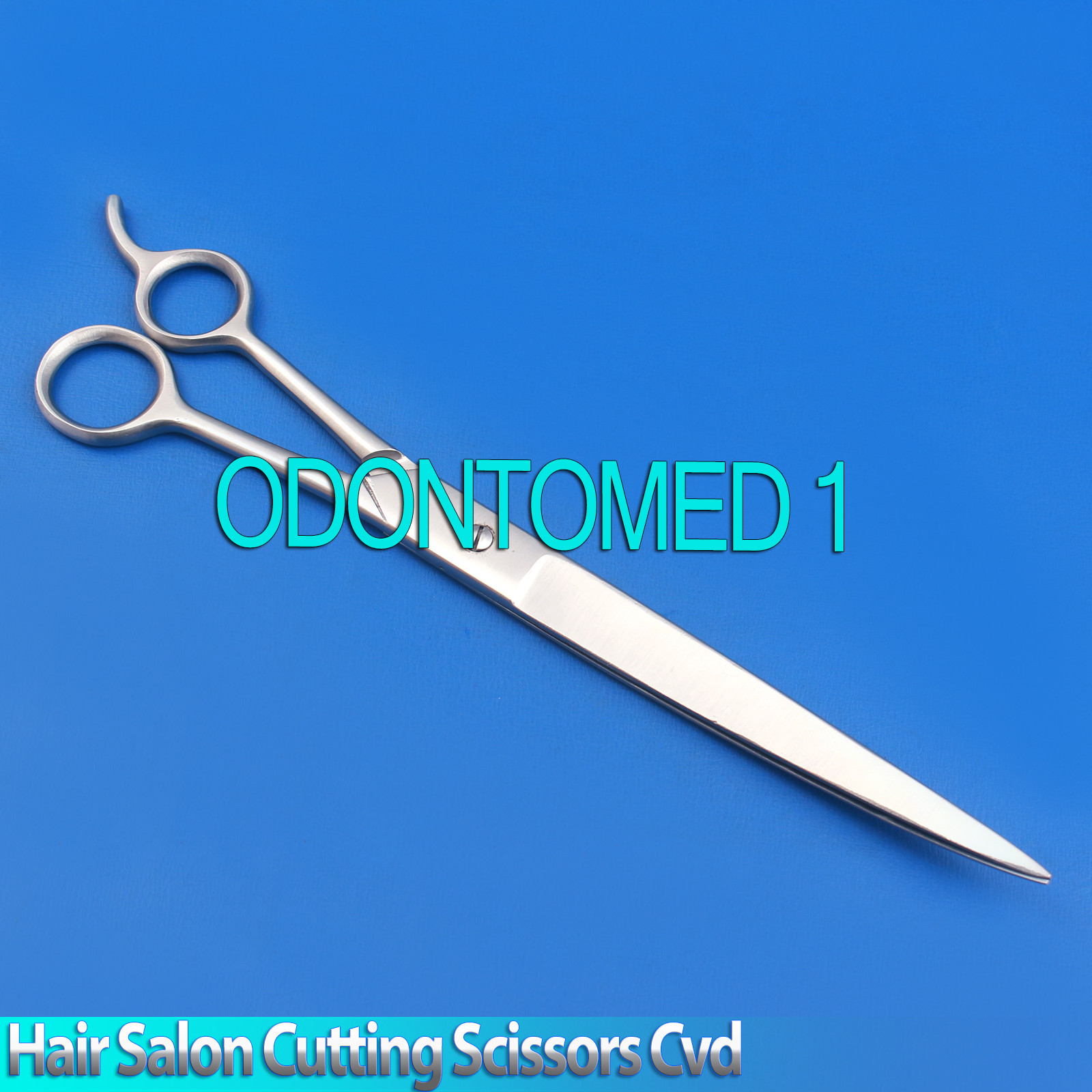 Gift Idea 10 Hair Salon Stylist Cutting Scissors Barber Shears