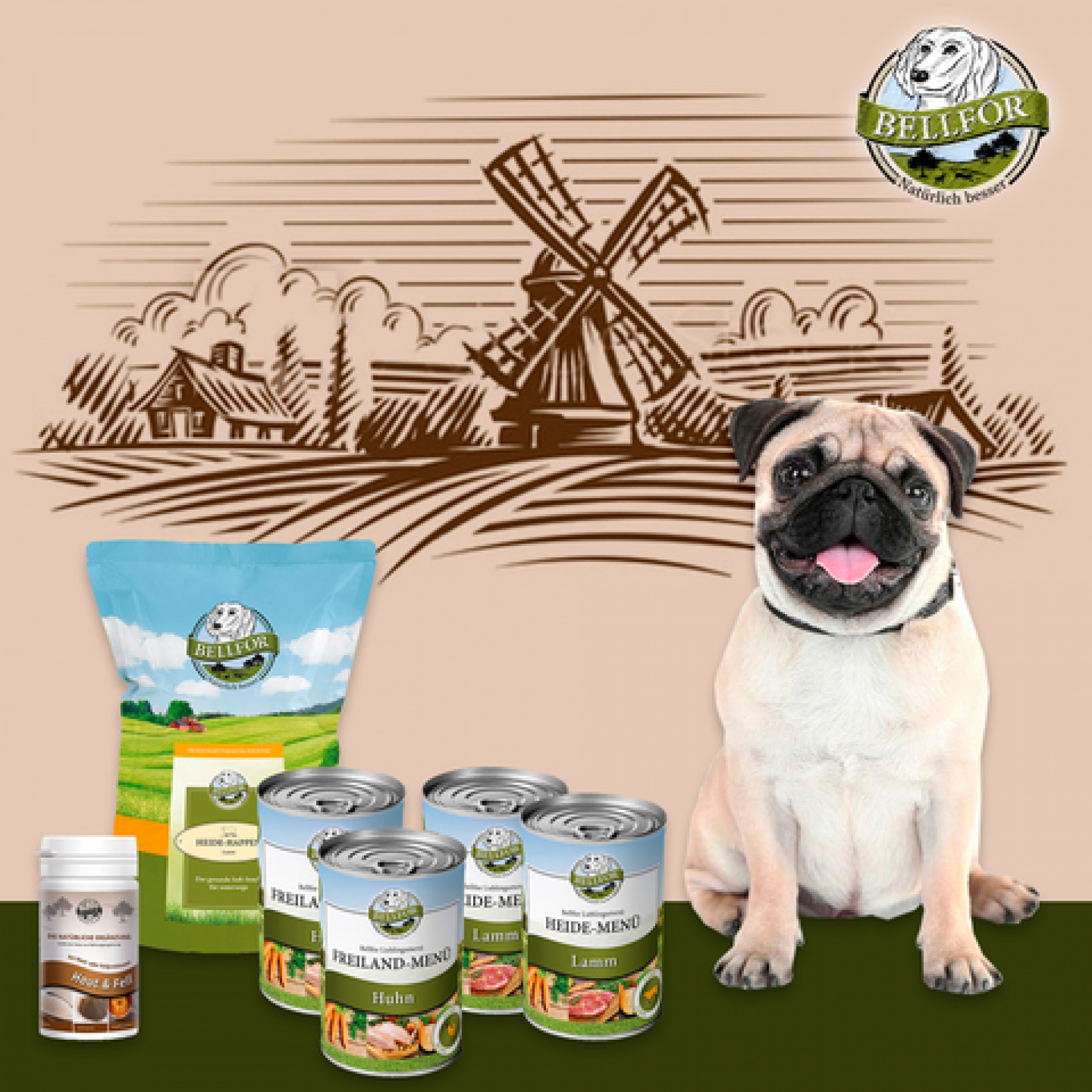 Bellfor Hundefutter Nass Getreidefrei x4 Haut & Fell Pulver Soft Snack Mops Set