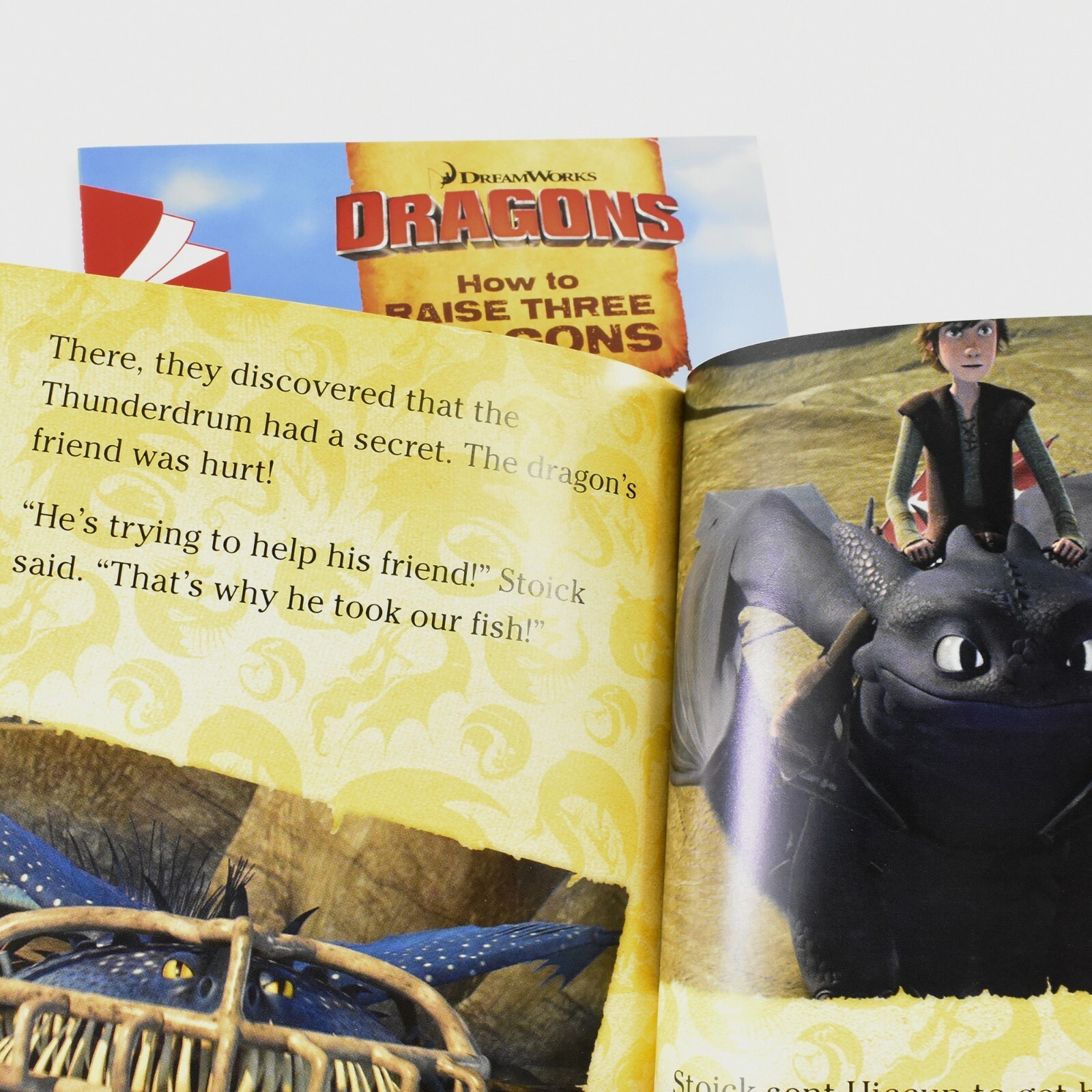 How To Train Your Dragon Early Reader 6 Books Children Set PB By Erica