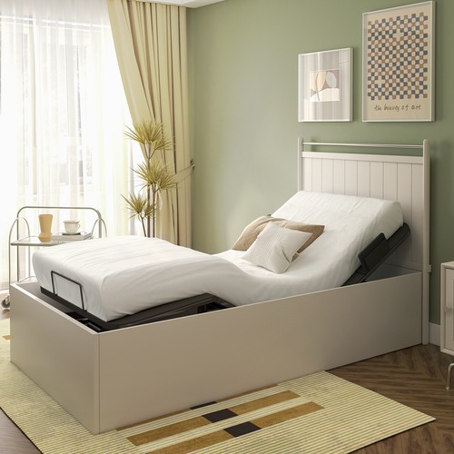 FlexiSpot DualMotor Adjustable Bed Frame Base with Wireless Remote,Ze