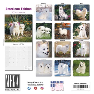 American Eskimo Dog Breed Calendar 2024 FULL SIZE 12x24 Made in USA