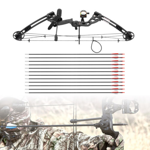30-55lbs Right Hand Hunting Training Compound Bow Archery Bow +12 Arrows Kit