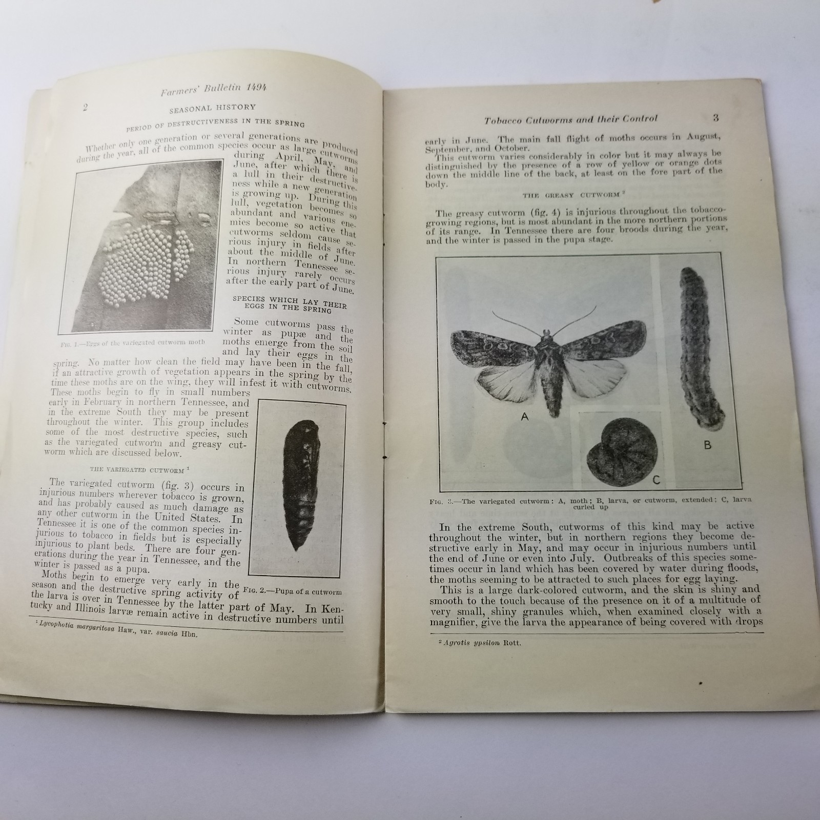 US Department of Agriculture Farmers Bulletin 1494 Tobacco Cutworms