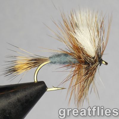 1 dozen (12) - Adams Wulff